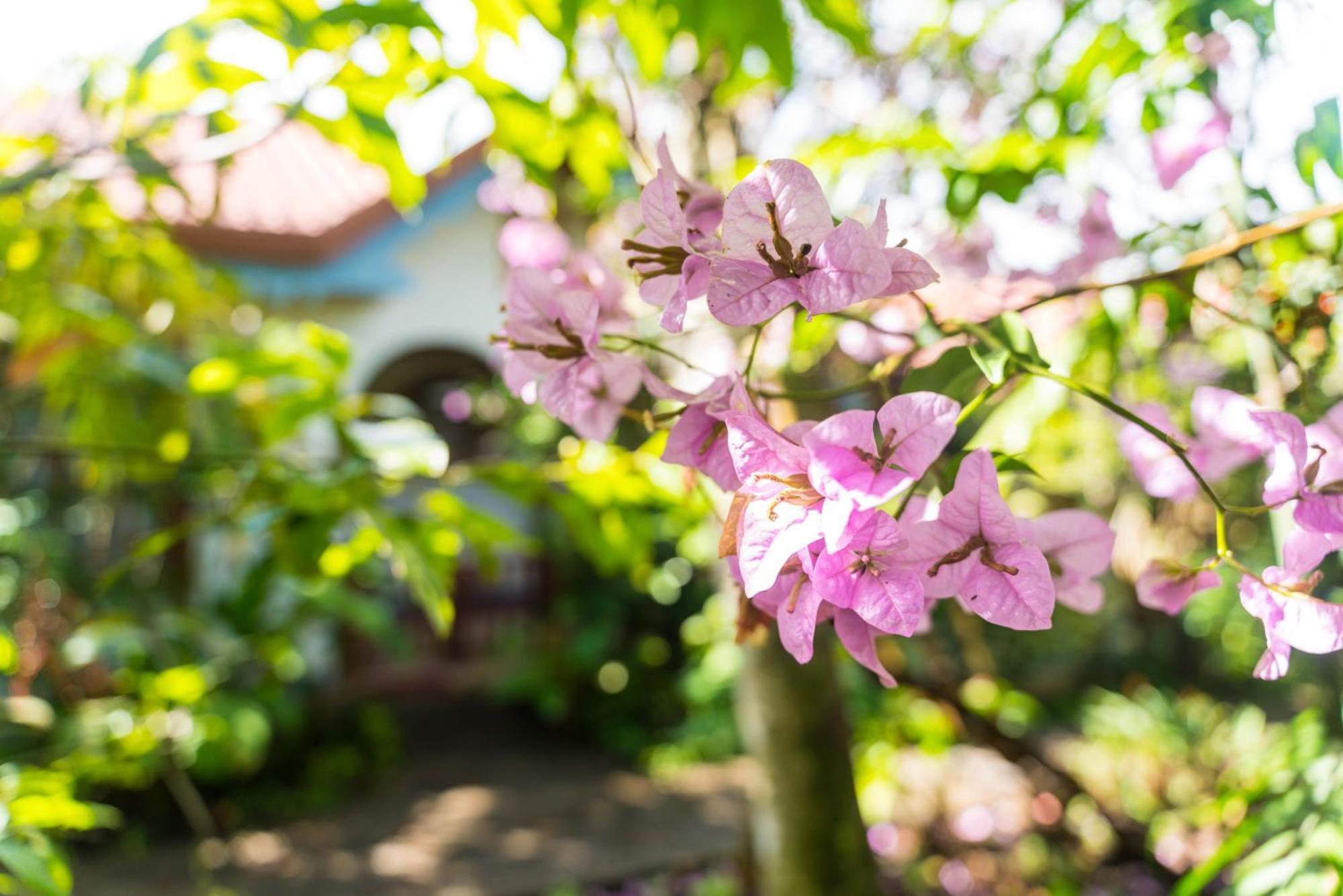 Hotel Claro De Luna Monteverde Zewnętrze zdjęcie