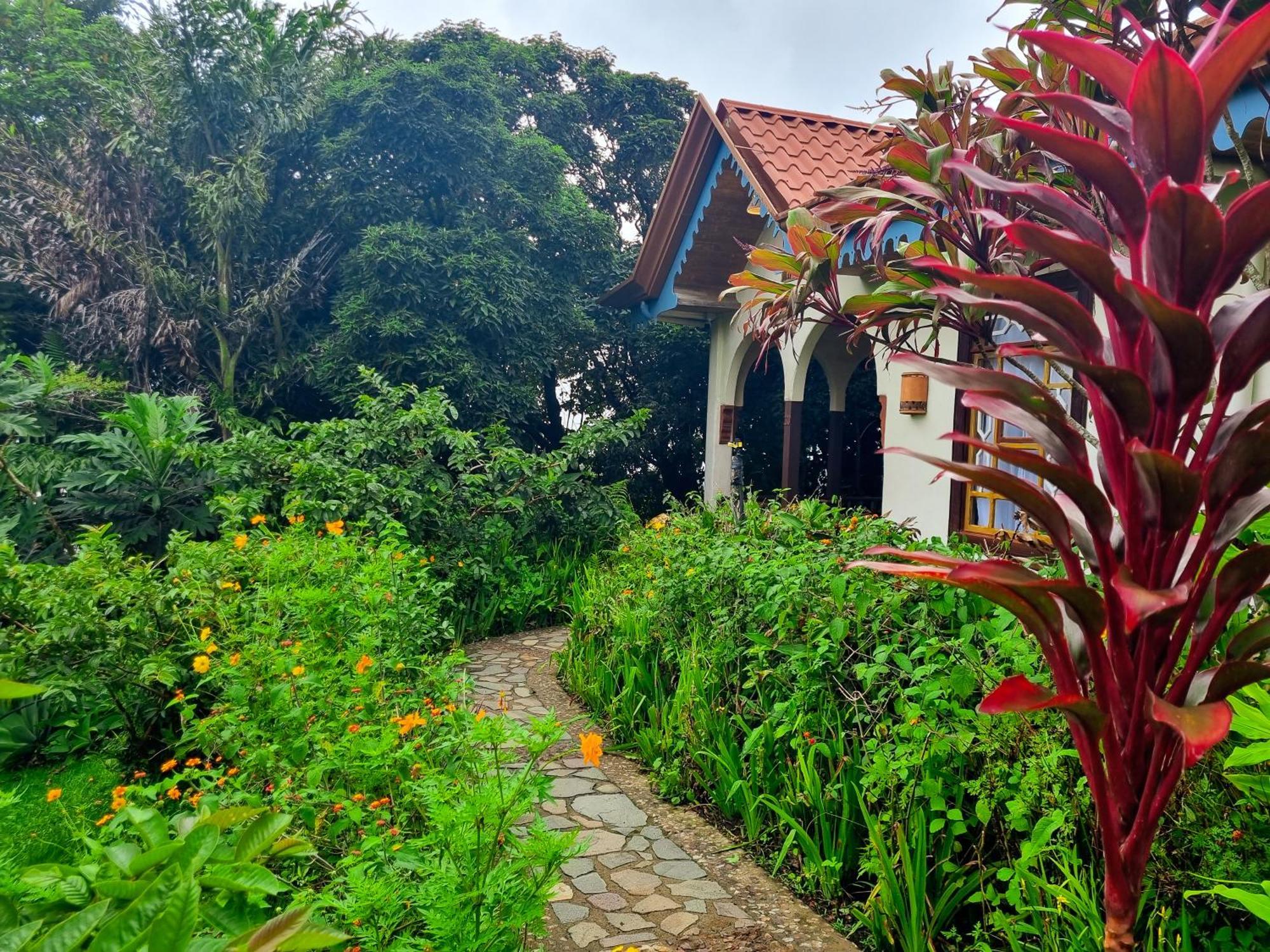 Hotel Claro De Luna Monteverde Zewnętrze zdjęcie